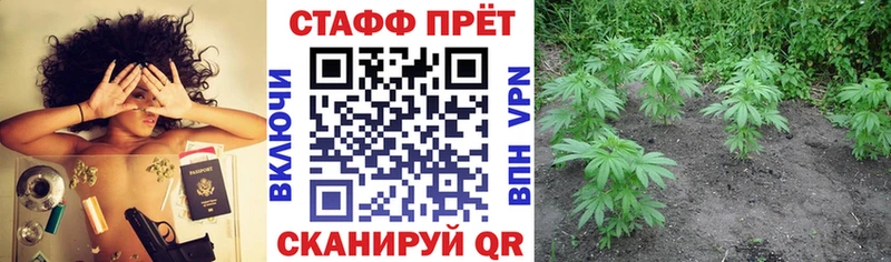 Магазины продажи наркотиков Перевоз Гашиш Псилоцибиновые грибы СК МЕФ МАРИХУАНА