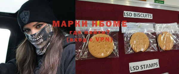 шишки Арсеньев