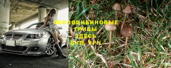 шишки Арсеньев