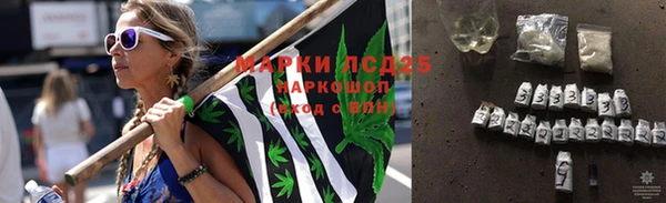 MESCALINE Аркадак