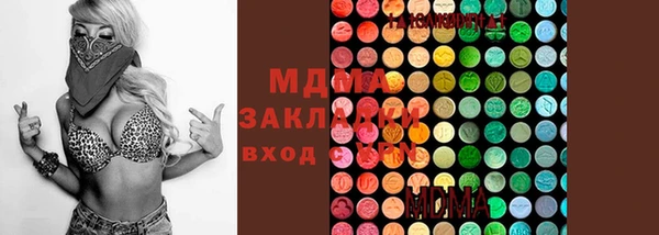 шишки Арсеньев
