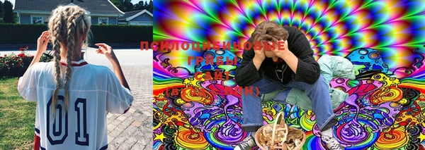 MESCALINE Аркадак