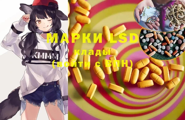 шишки Арсеньев