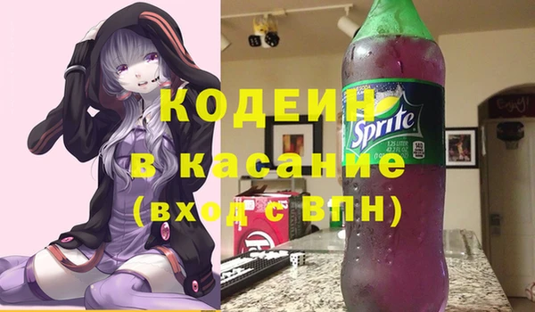 шишки Арсеньев