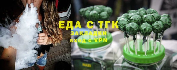 шишки Арсеньев