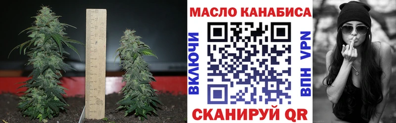 ТГК вейп  Перевоз 